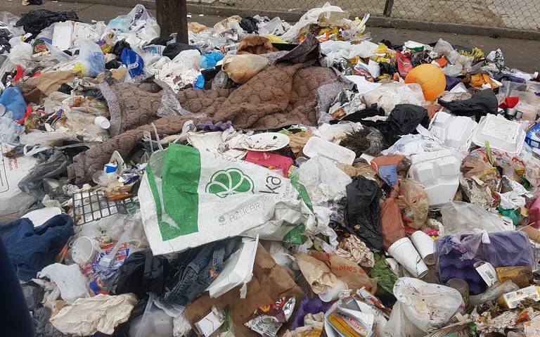 Establece Ley de Economía Circular un futuro sustentable para BC