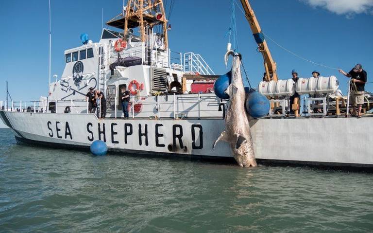 Desconfían pescadores de San Felipe de rescate federal
