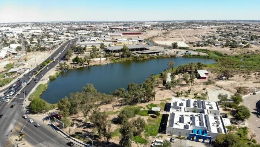 Detectan presencia de más aves en lagunas de Mexicali