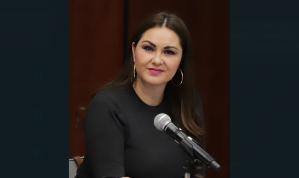 Propone senadora del PT que el Estado implemente políticas de adopción con enfoque de derechos humanos