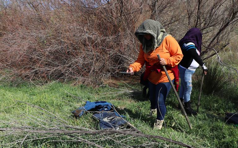 Seguridad a colectivos de búsqueda fue recortada