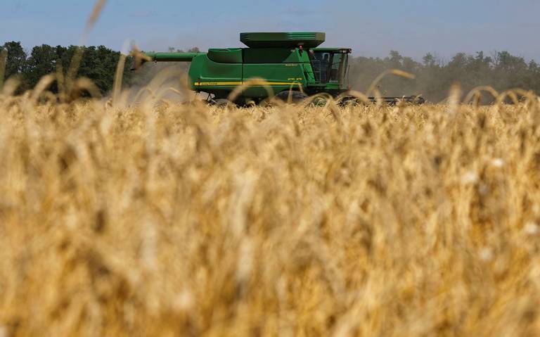 Precios de granos se elevan por la guerra en Ucrania