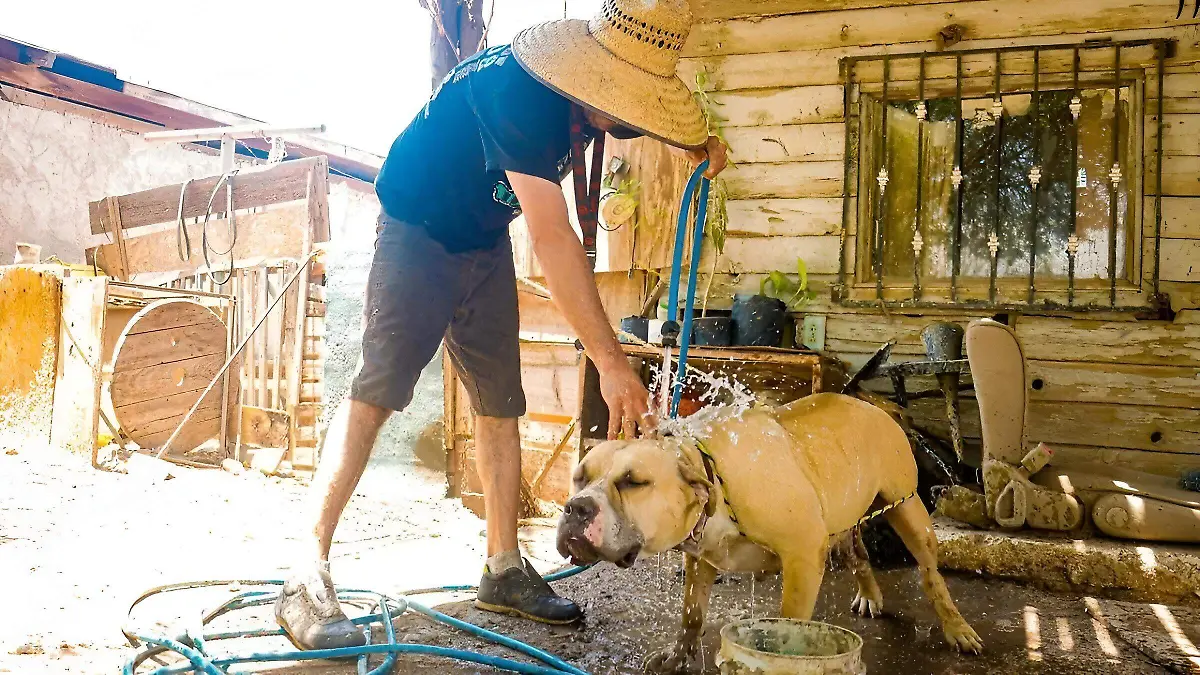 Mexicali rompe otro récord en temperatura máxima; van 14 este año